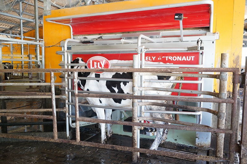 萩原ハイランドファーム風景