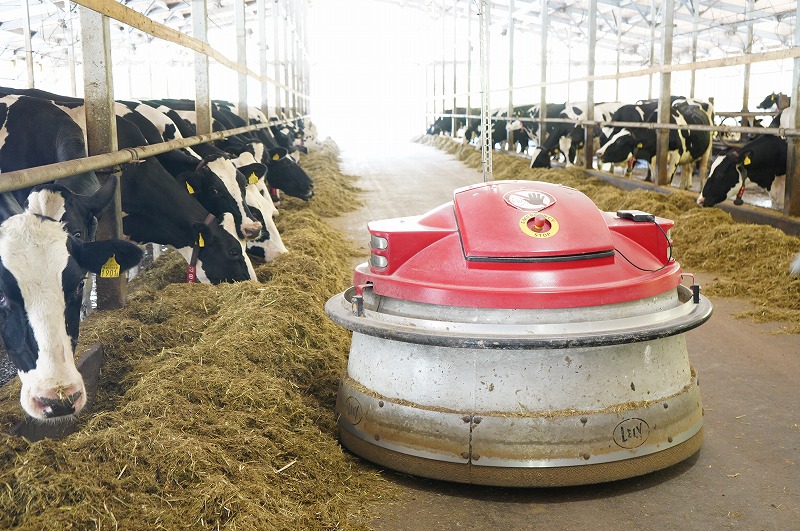 萩原ハイランドファーム風景