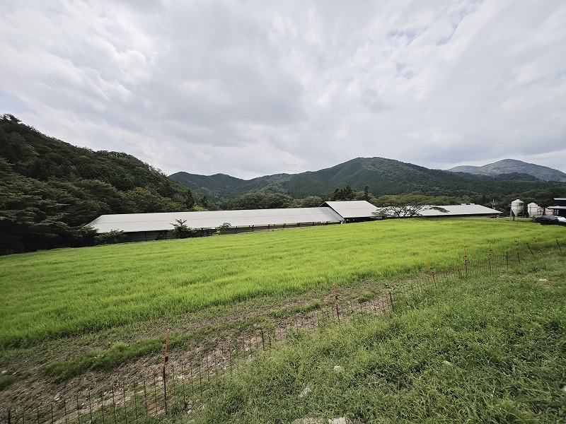 福原牧場風景